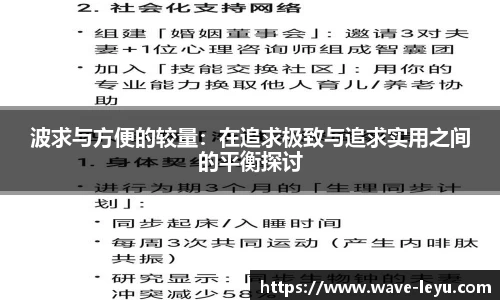 波求与方便的较量：在追求极致与追求实用之间的平衡探讨